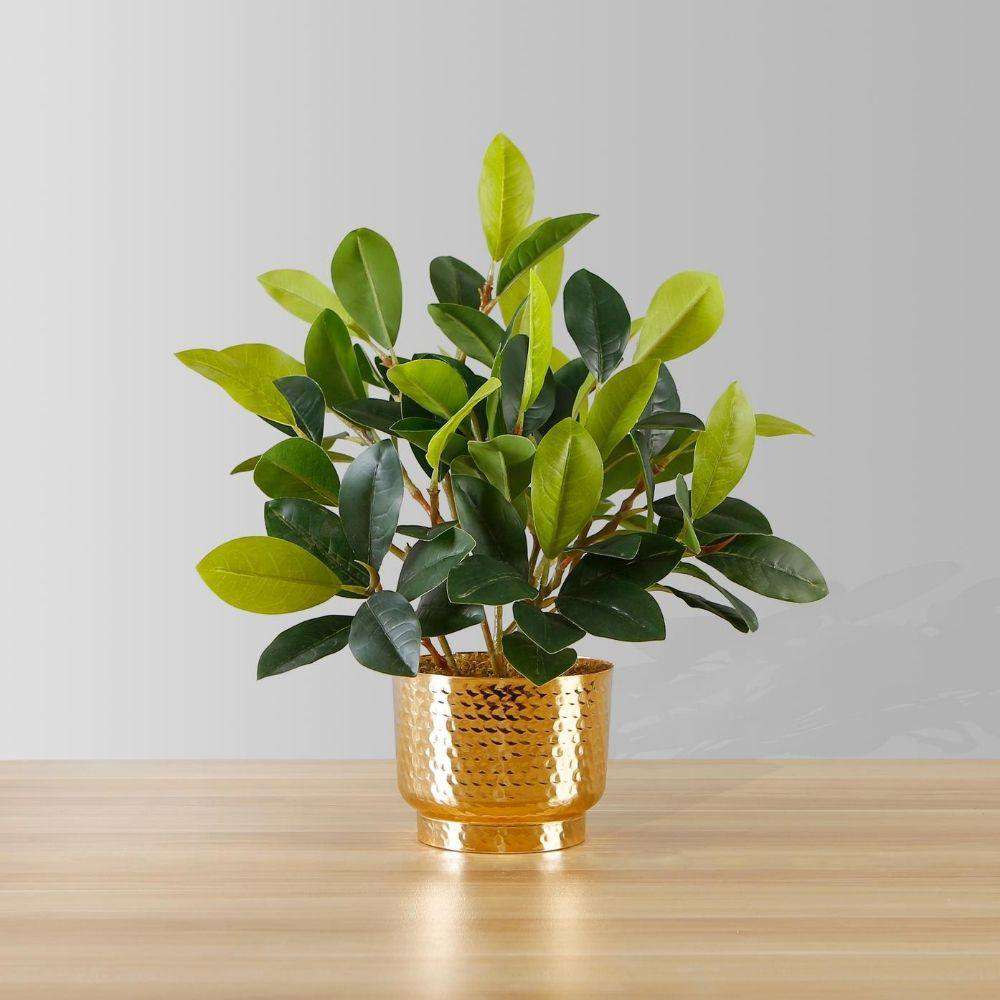 Moreno Potted Faux Watercress Plant 