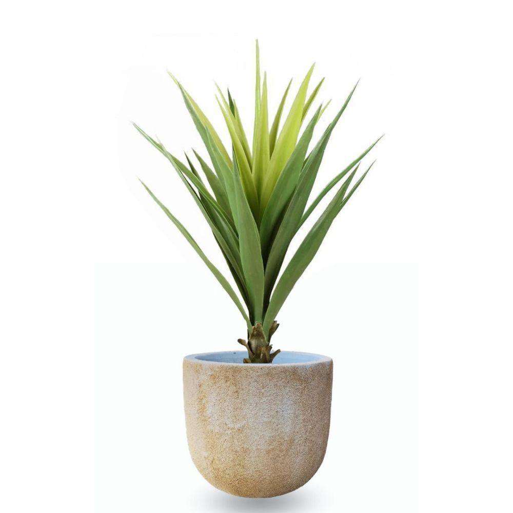Trevi Cement Planter (Multiple Sizes) 