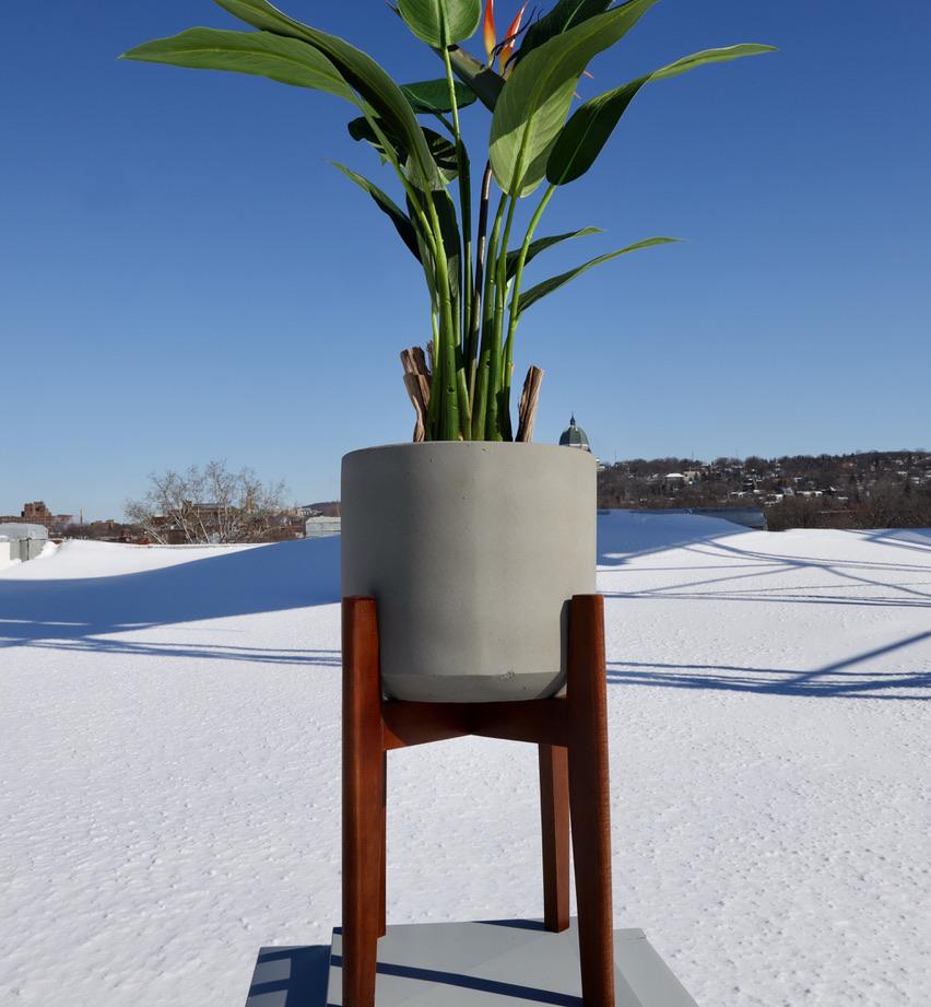 Lori Grey Mid-Century Planter With Wooden Stand 