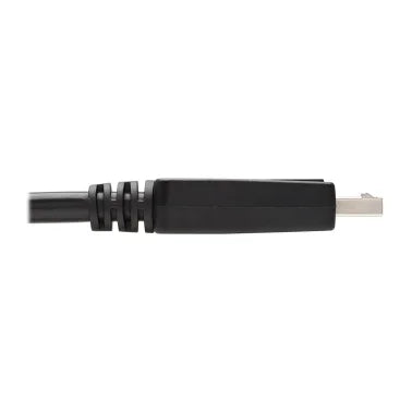 Tripp Lite® by Eaton® 1080p DisplayPort™ Male with Latch to DVI-D Male Single Link Adapter Cable, Black, 6 Ft., P581-006