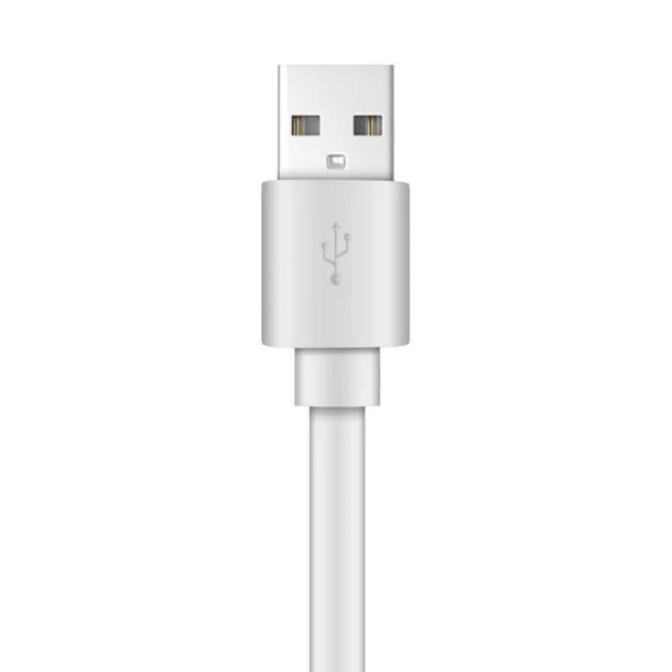 XYST™ Charge and Sync USB to Lightning® Flat Cable, 4 Ft. (White)