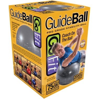 GoFit® Pro Grade Stability Guide Ball with Pump (75cm; Silver)