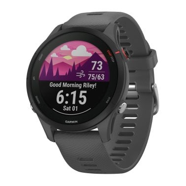 Garmin® Forerunner® 255 Running Smartwatch (Slate Gray)