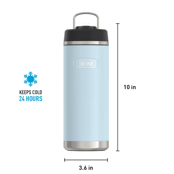 Thermos® Icon™ 32-Oz. Stainless Steel Water Bottle with Straw Lid (Glacier)