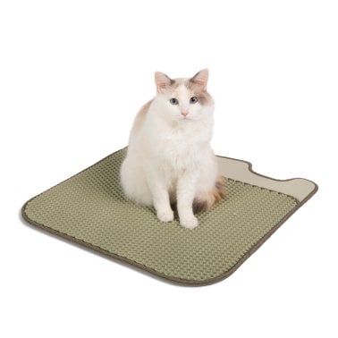 Casa Leo™ Leo’s Loo Too Smart Self-Cleaning Cat Litter Box Bundle (Avocado Green)