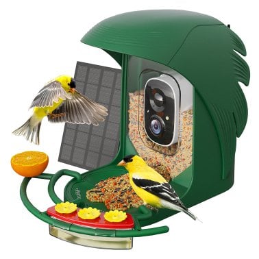 PerchMe™ AI-Recognition Smart Bird Feeder with Camera, Solar Powered (Forest Green)