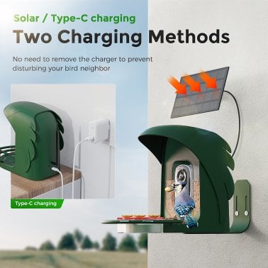 PerchMe™ AI-Recognition Smart Bird Feeder with Camera, Solar Powered (Forest Green)