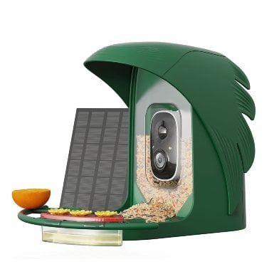 PerchMe™ AI-Recognition Smart Bird Feeder with Camera, Solar Powered (Forest Green)