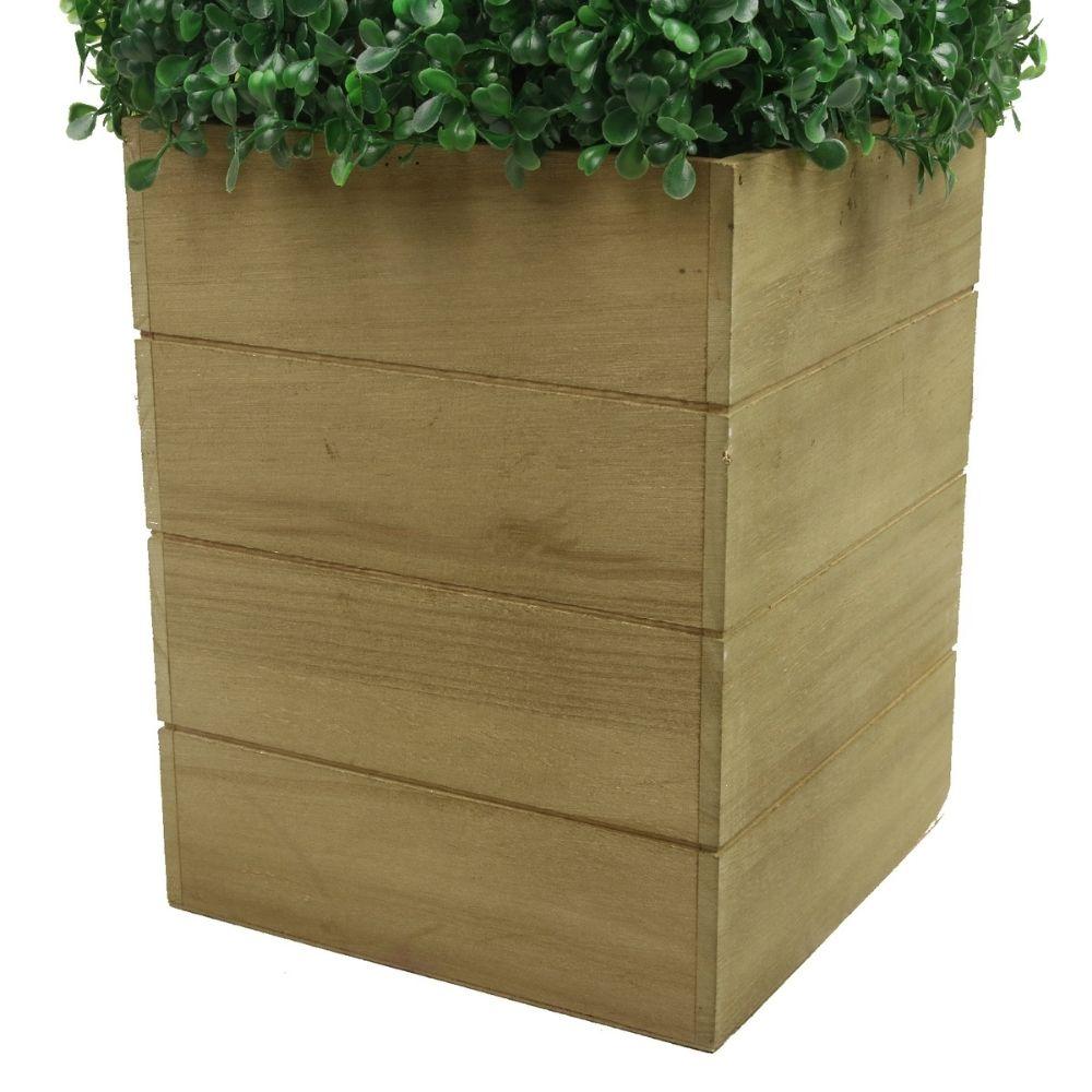 Mayer Potted Boxwood Topiary Plant (Multiple Sizes) 