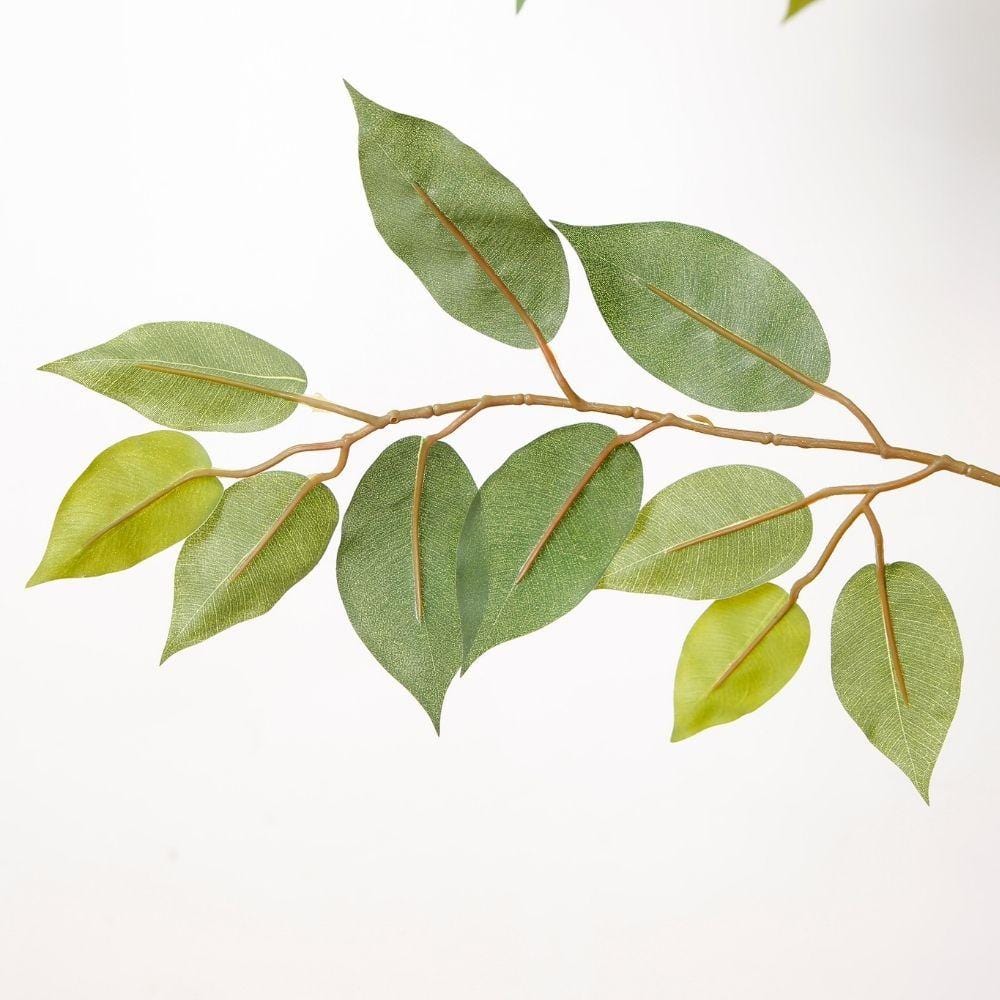 Benja Artificial Ficus Tree Potted Plant 6’ 