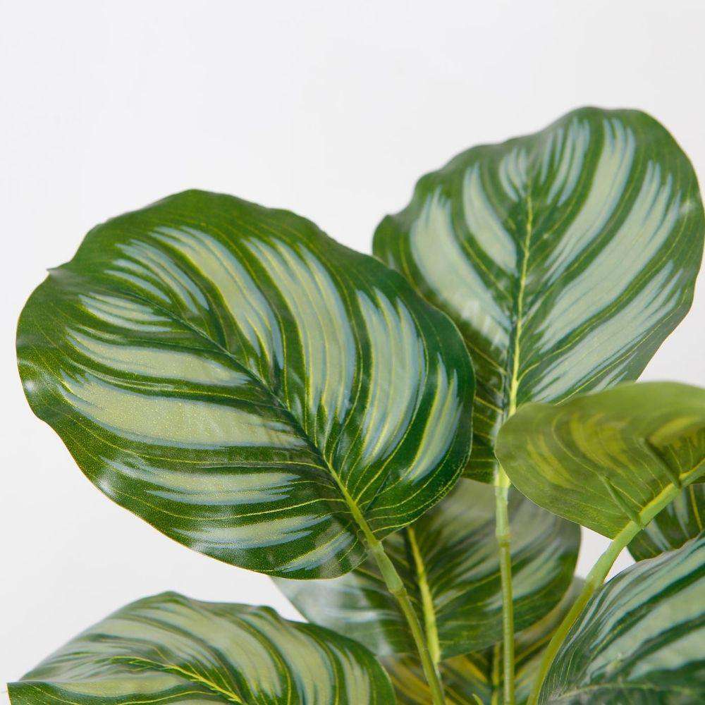 Calathea Faux Potted Plant 