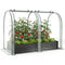 6 x 3 x 1 FT Galvanized Raised Garden Bed with Greenhouse Cover-Black