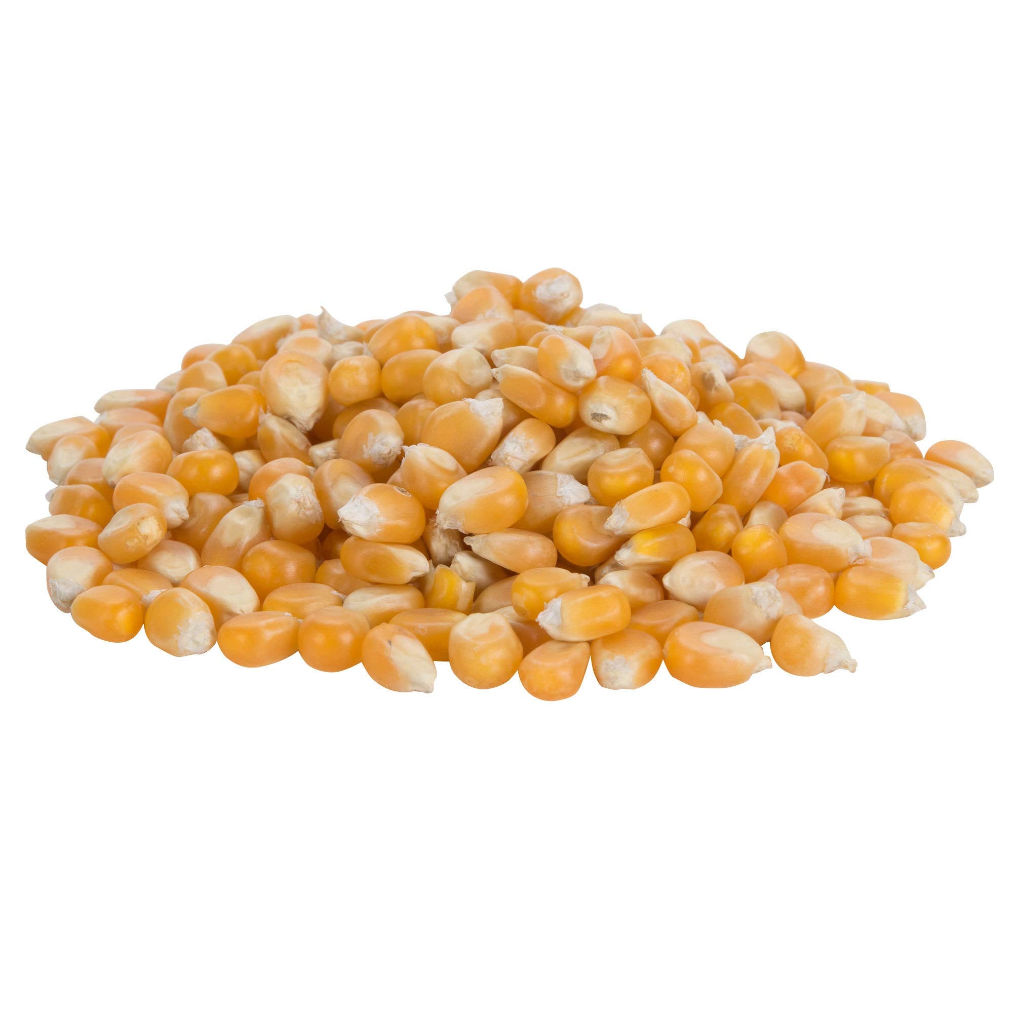 Bulk Mushroom Premium Popcorn Kernels (6lbs, 12lbs, 18lbs, 24lbs) 