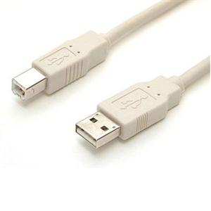 6 ft Beige A to B USB Cable - M/M