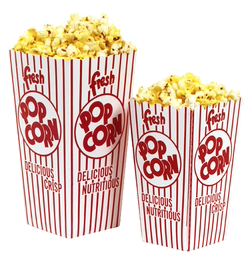 Scoop Boxes 1.75 oz x 500 