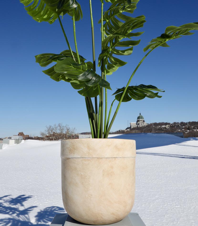 Yucata Cement Planter 15'' 