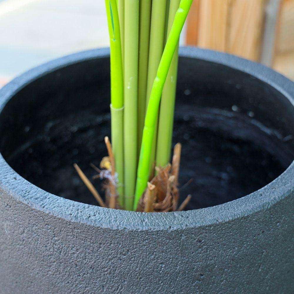 Aba Black Cement Planter (Multiple Sizes) 