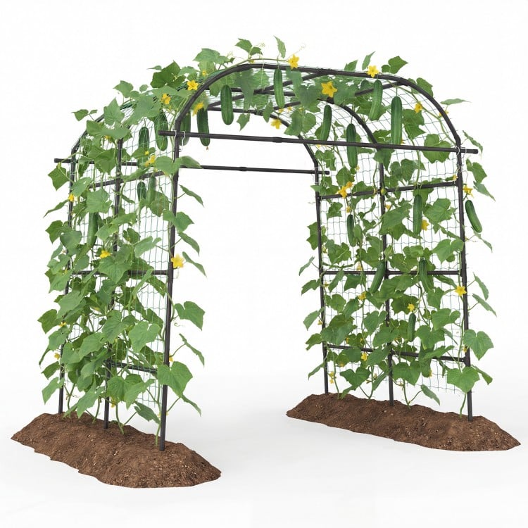 7.5 FT Tall Metal Garden Arch Trellis for Climbing Plants Outdoor-Black
