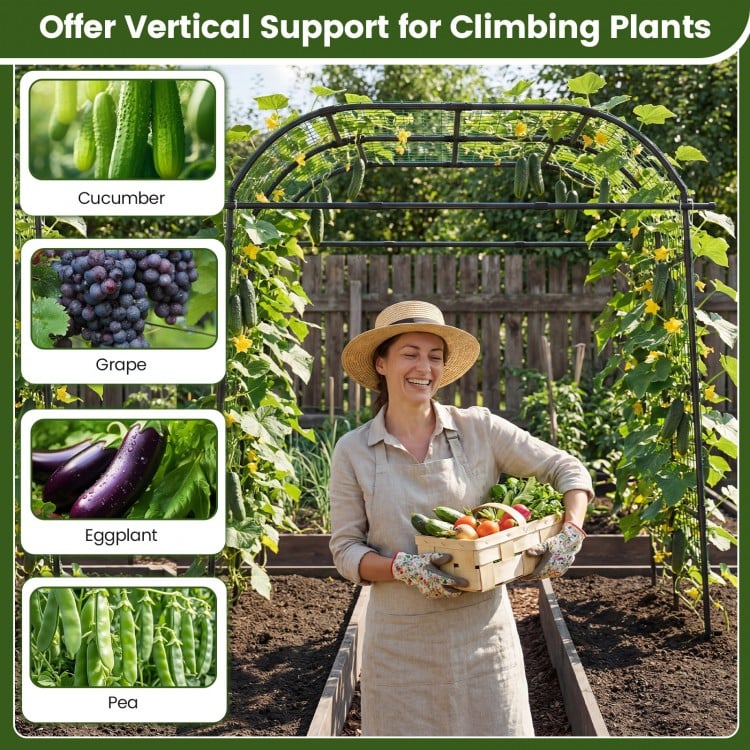 7.5 FT Tall Metal Garden Arch Trellis for Climbing Plants Outdoor-Black
