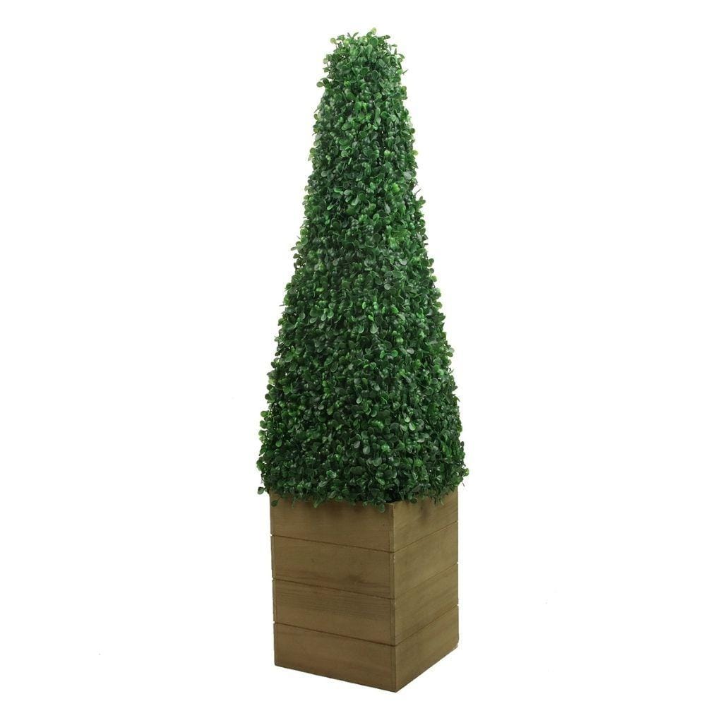 Mayer Potted Boxwood Topiary Plant (Multiple Sizes) 