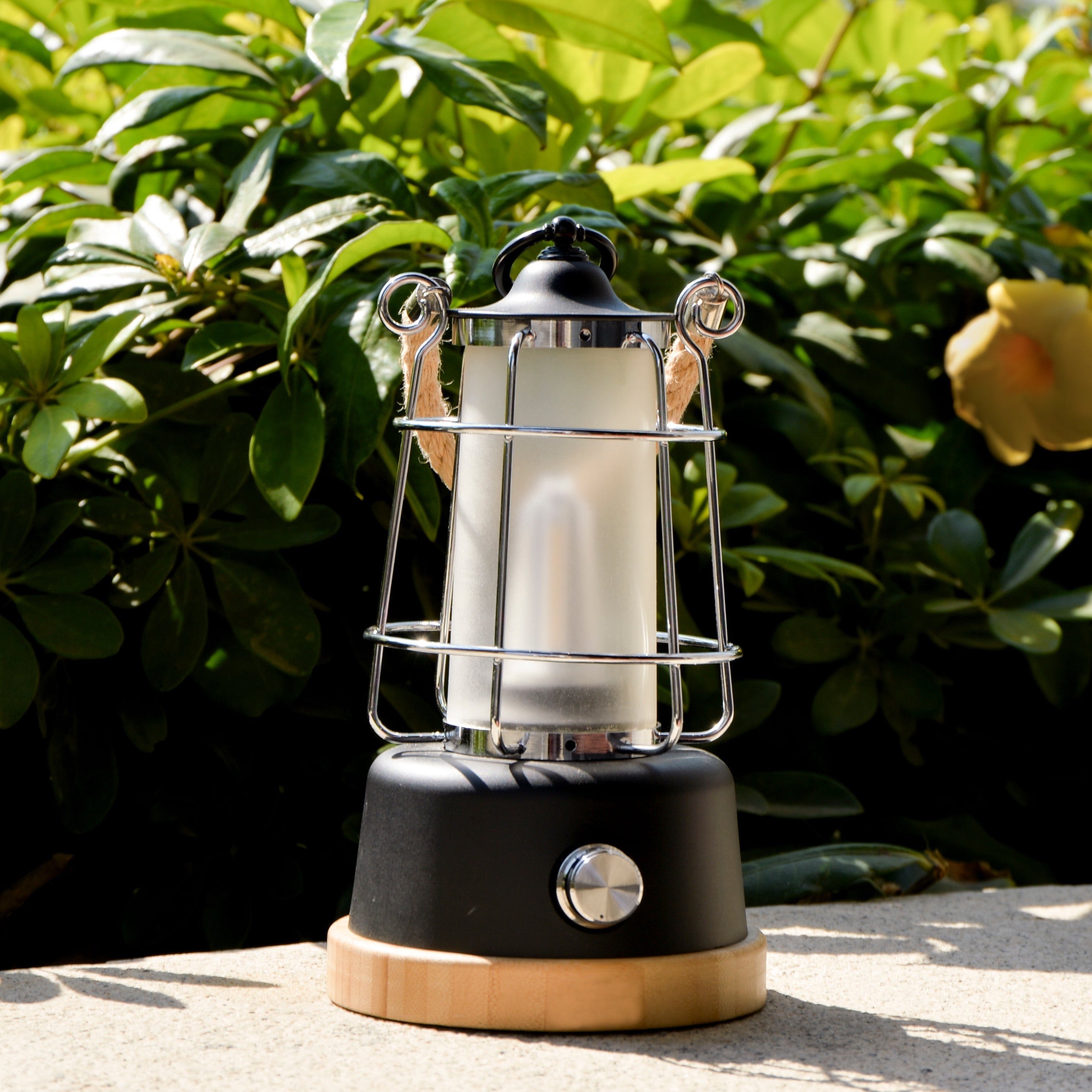 TRU De-LIGHT YOU&ME LED, Dimmable, Color Temperature & Brightness Adjustable, Rechargeable LED Lamp 