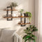 HOOBRO Floating Shelves Set of 2, 2-Tier Wall Mounted Storage Shelves, Rustic Brown & Black