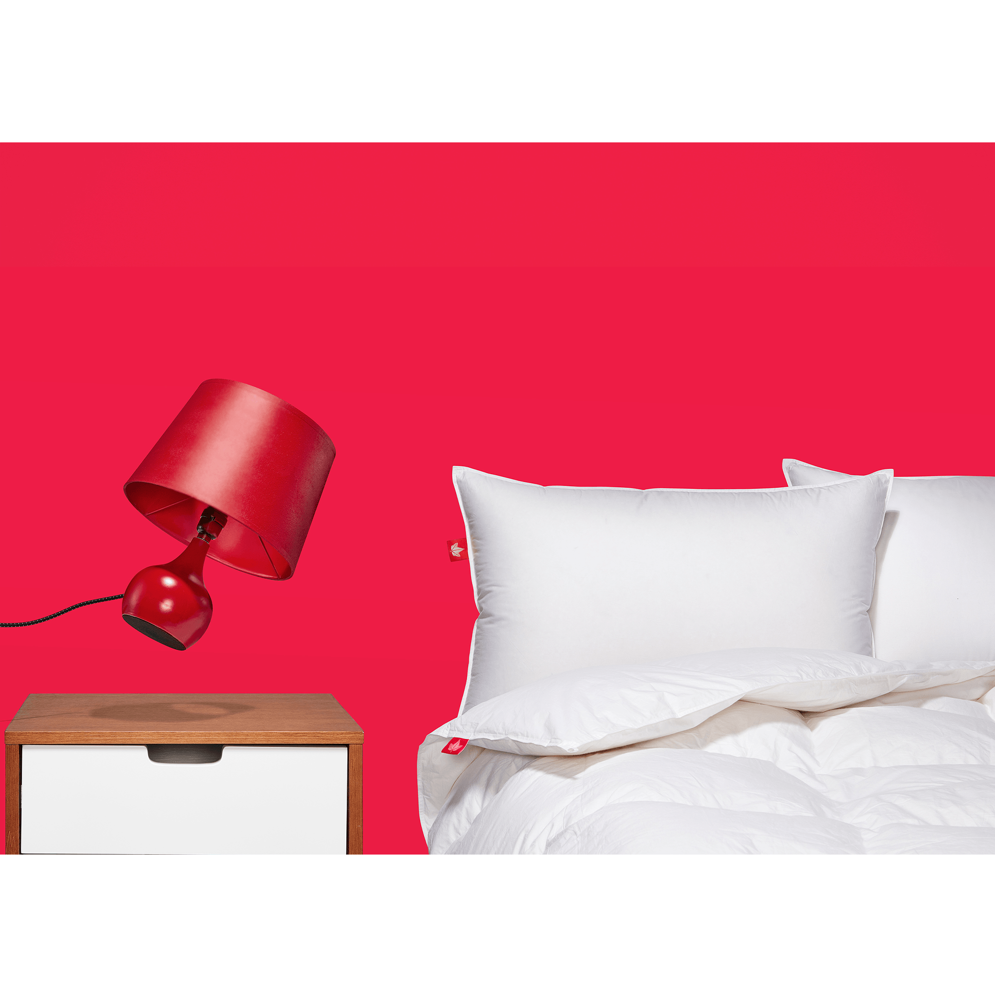 850 Loft Hutterite Goose Down Duvet 