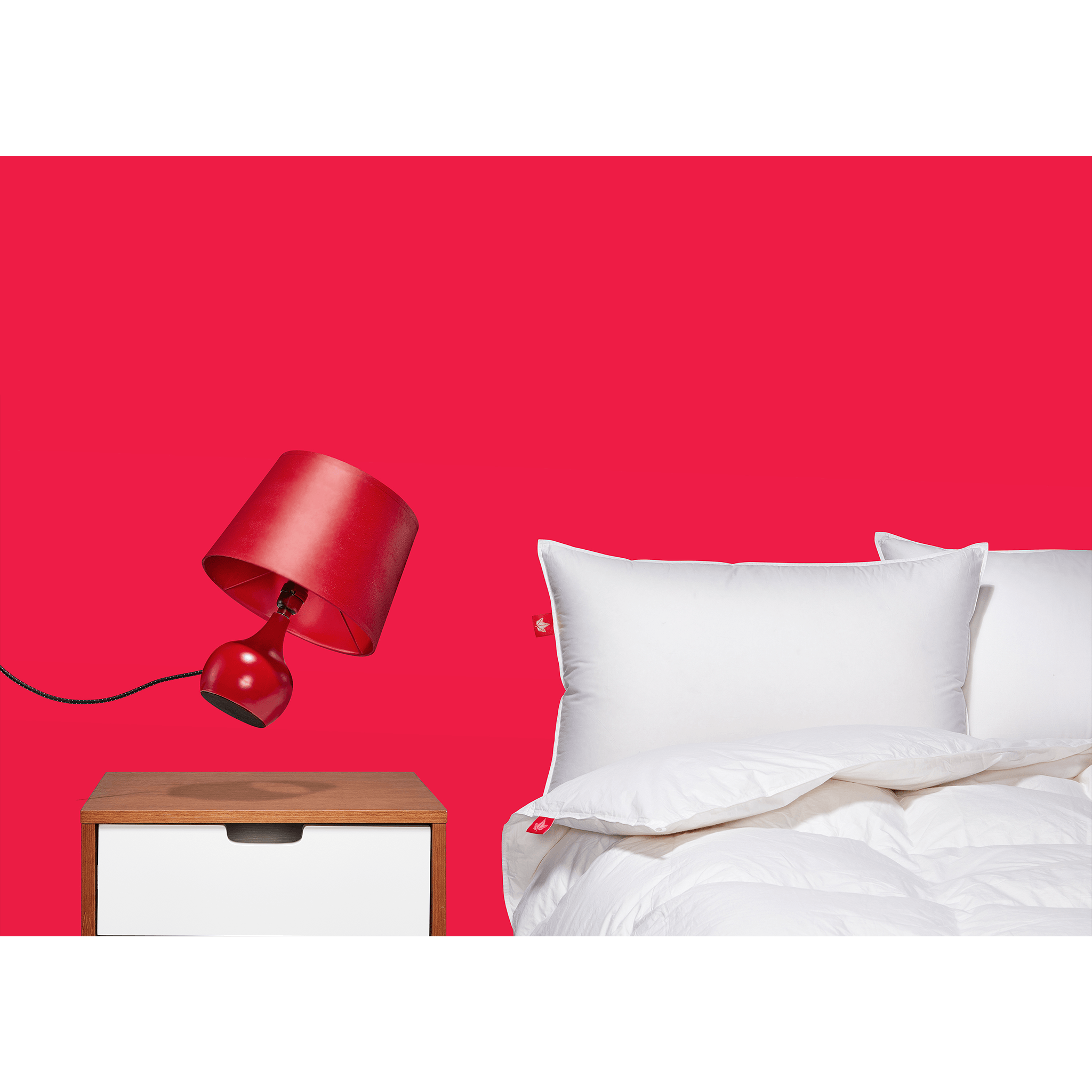 850 Loft Hutterite Goose Down Pillow 