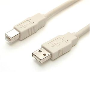 USB cable - 4 pin USB Type A (M) - 4 pin USB Type B (M) - 10 ft