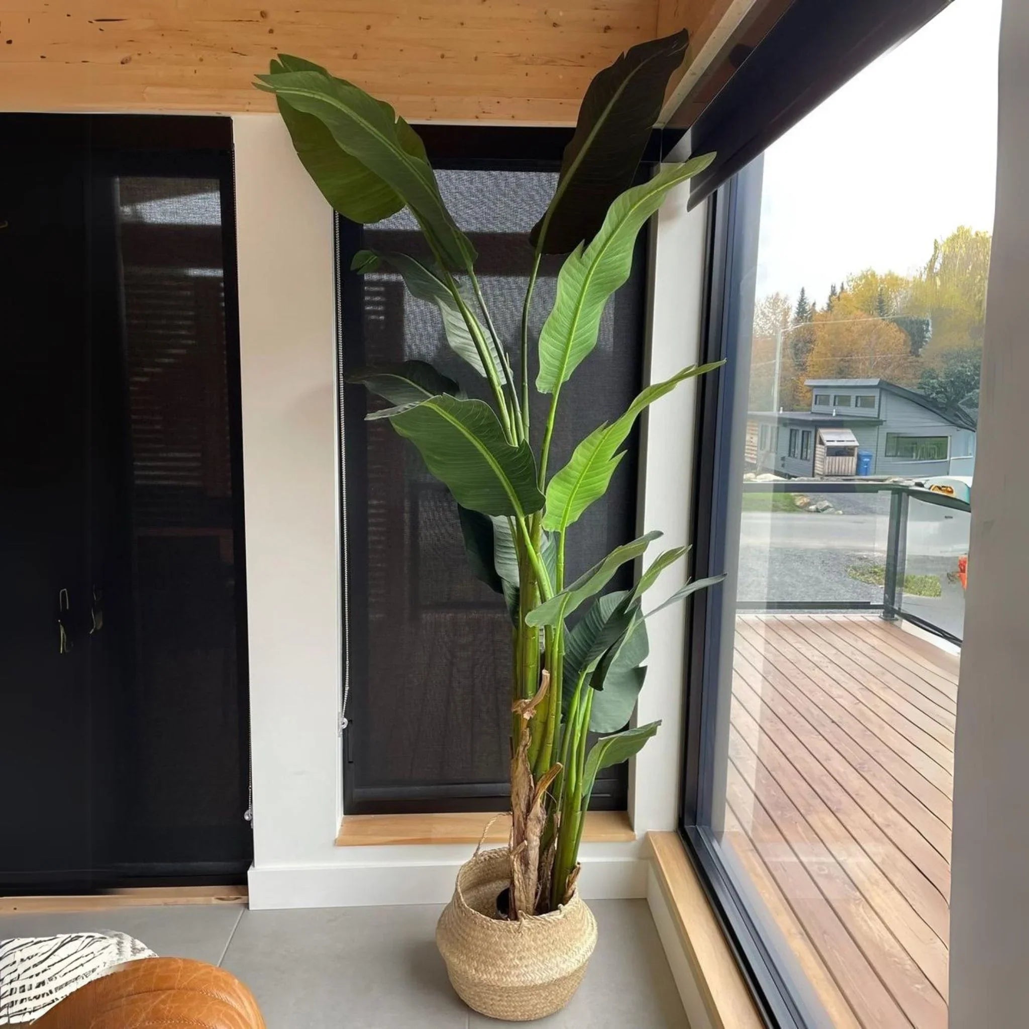 Maza Artificial Bird Of Paradise Potted Plant (Multiple Sizes) 