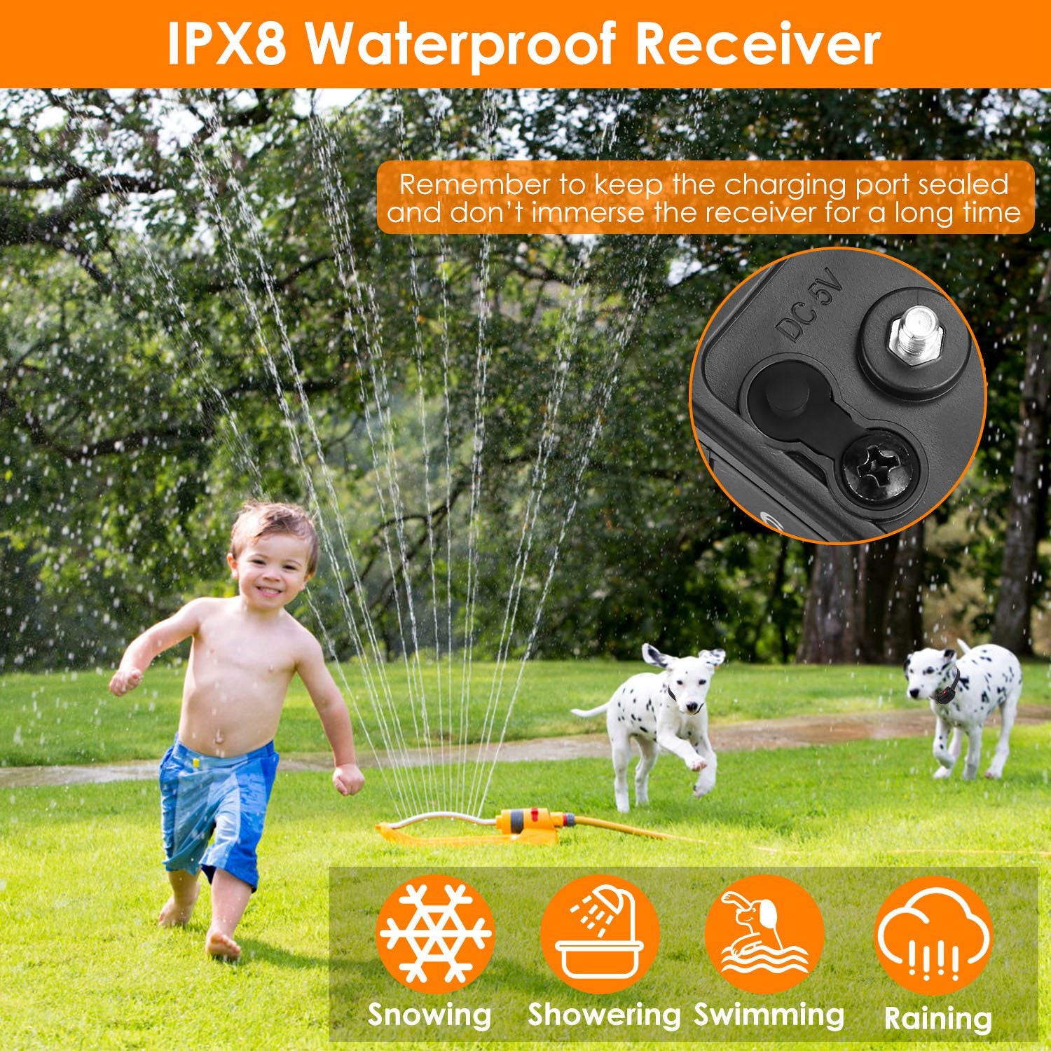 IPX8 Waterproof Electric Dog Training Collar Rechargeable Receiver Beep Vibration Shock for Small Medium Large Dogs