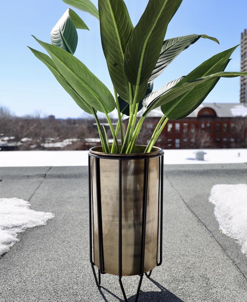 Neva - Brass Planter With Black Stand 