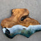 Olive Wood Charcuterie Board 12.5