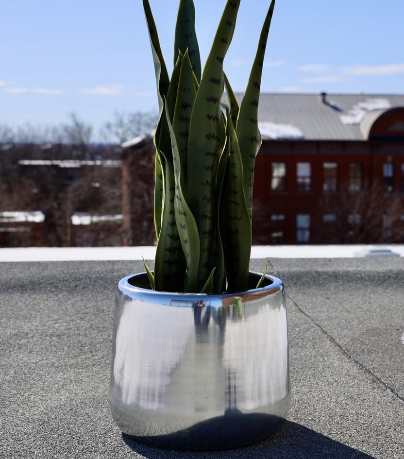 Paola - Brass Floor Planter (Multiple Sizes) 