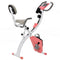 Soozier 2 in 1 Upright Stationary Exercise Bike Foldable Magnetic Recumbent Cycling with Arm Resistance Bands Pink