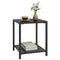 Outdoor Coffee Table 2-Tier Patio Coffee Table with Storage Shelf, Adjustable Feet for Garden Balcony Poolside Black