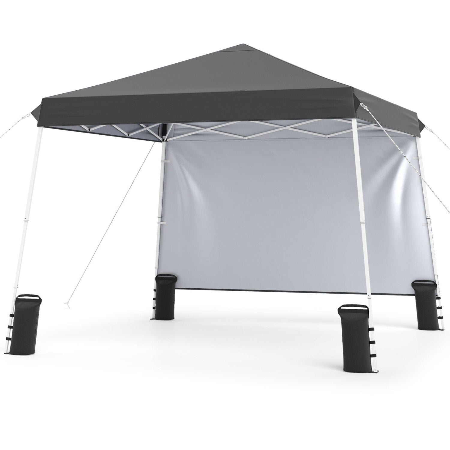 9 ft x 9 ft Pop Up Canopy Tent with Sidewall, Carry Bag, Sandbags & Ground Stakes