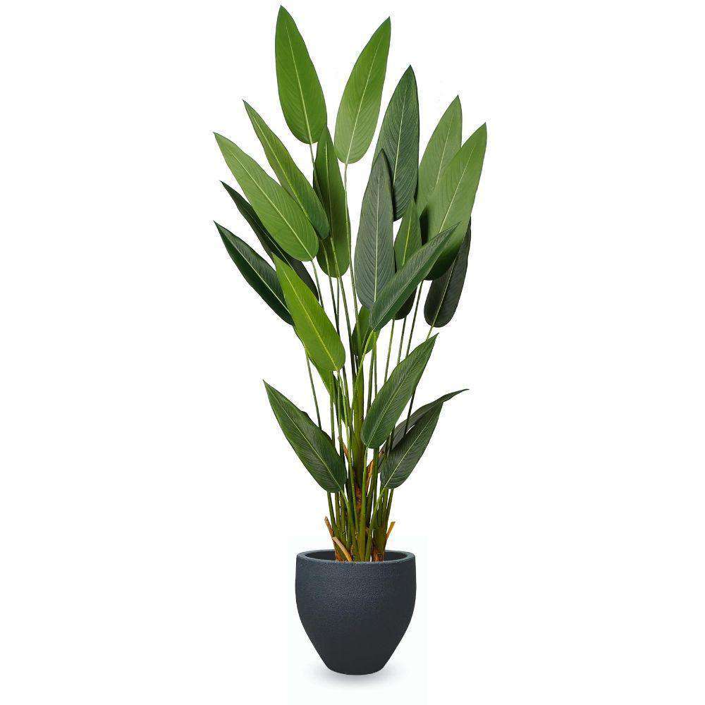 Aba Black Cement Planter (Multiple Sizes) 