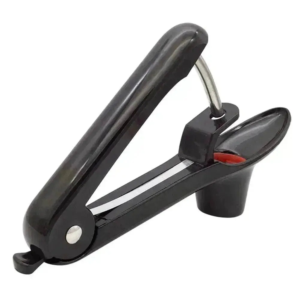 ABS Plastic Stainless Steel Fruit Core Puller 