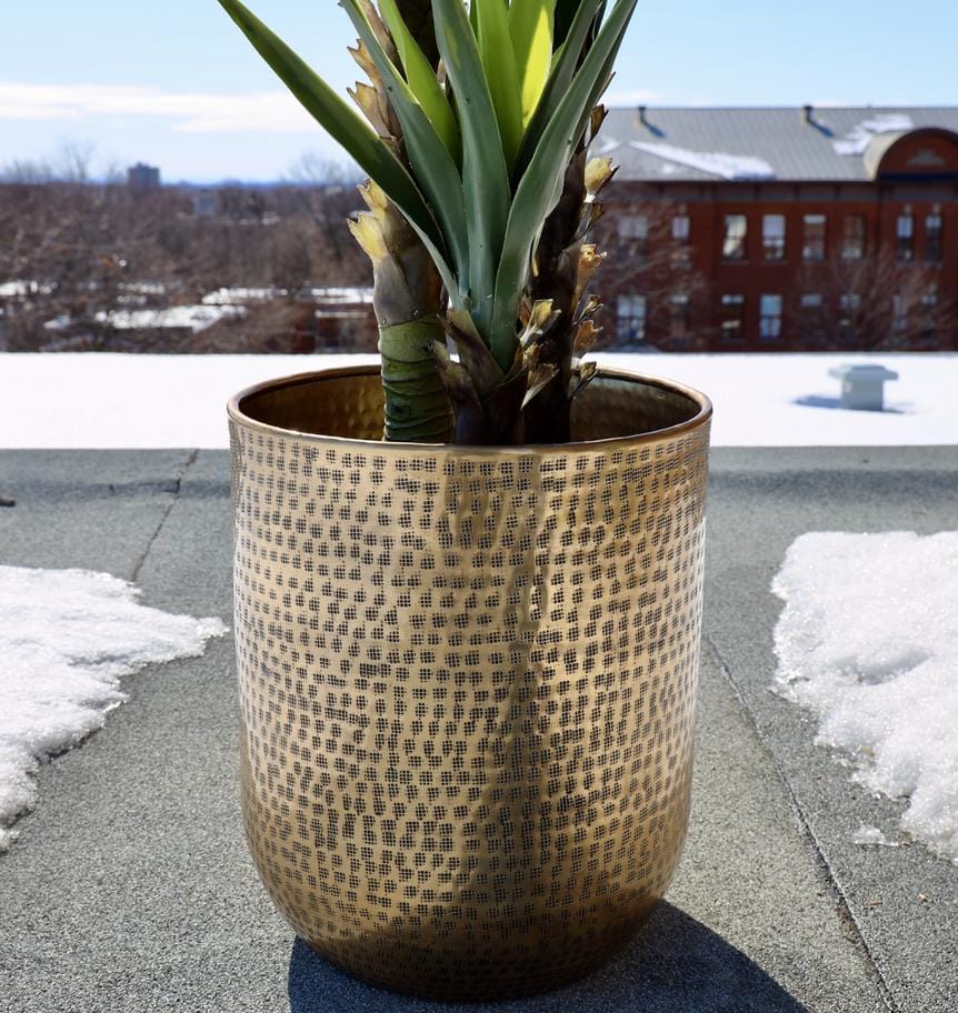 Bertooo - Brass Mid-Century Planter 