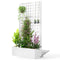 Galvanized Raised Garden Bed Planter Box with Trellis for Climbing Plants, Vegetable, Vines, 35