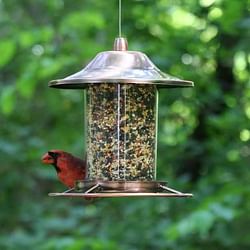 Copper Bird Feeder with Plastic Seed Reservoir Tube and Circular Perch - Free Shipping 