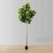 Adelia Artificial Fiddle Leaf Plant | 10' Tall, Realistic Green Potted Tree, Indoor Décor