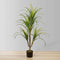 Aga Artificial Century Plant | 47