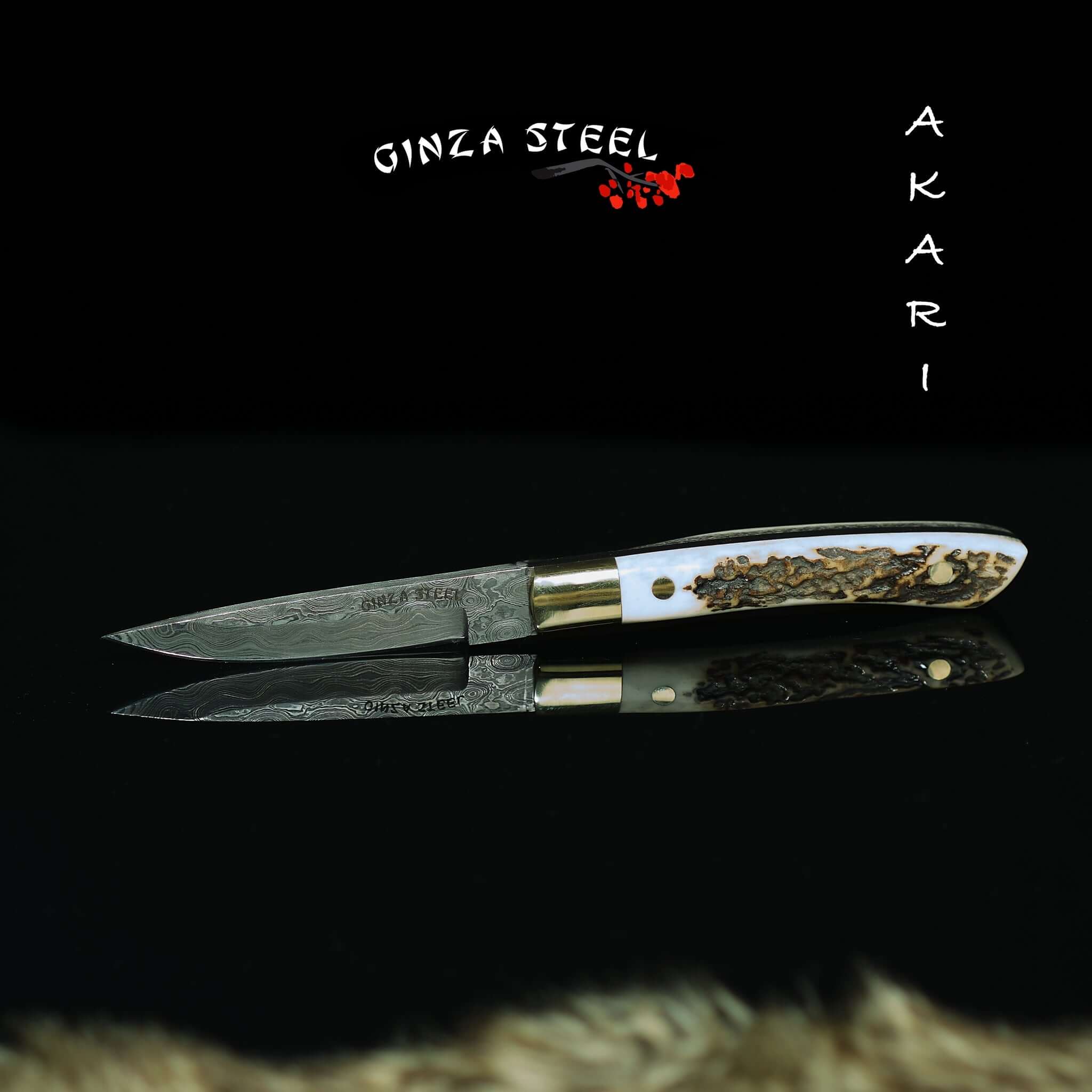 AKARI Skinner Knife 3.5 inch with Stag Horn Handle and Original Leather Sheath 