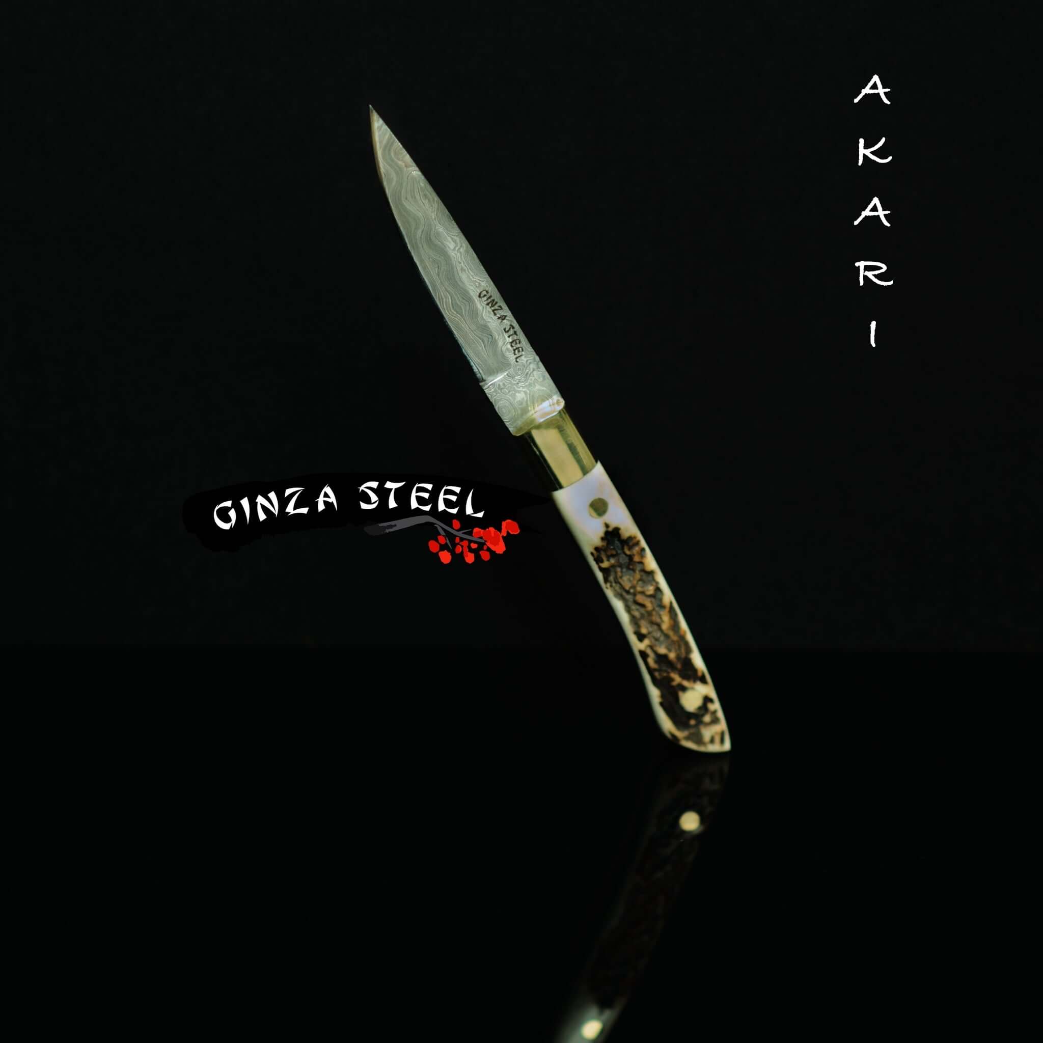 AKARI Skinner Knife 3.5 inch with Stag Horn Handle and Original Leather Sheath 