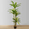Alba Artificial Bird Nest Fern | 5.2' Tall, Realistic Faux Potted Plant, Indoor Décor