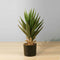 Aloa Artificial Aloe Tree | 20'' Tall Faux Potted Plant, Realistic & Maintenance-Free