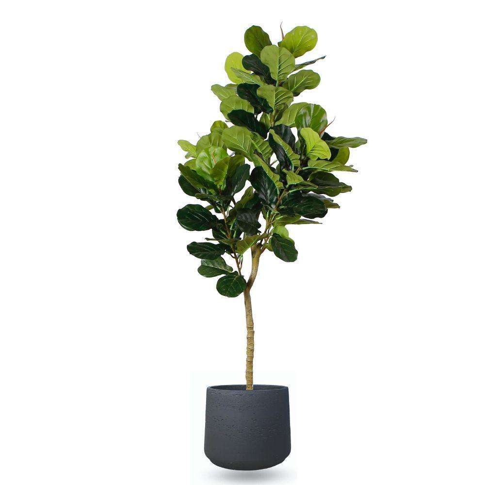 Anto Black Cement Planter 13'' 