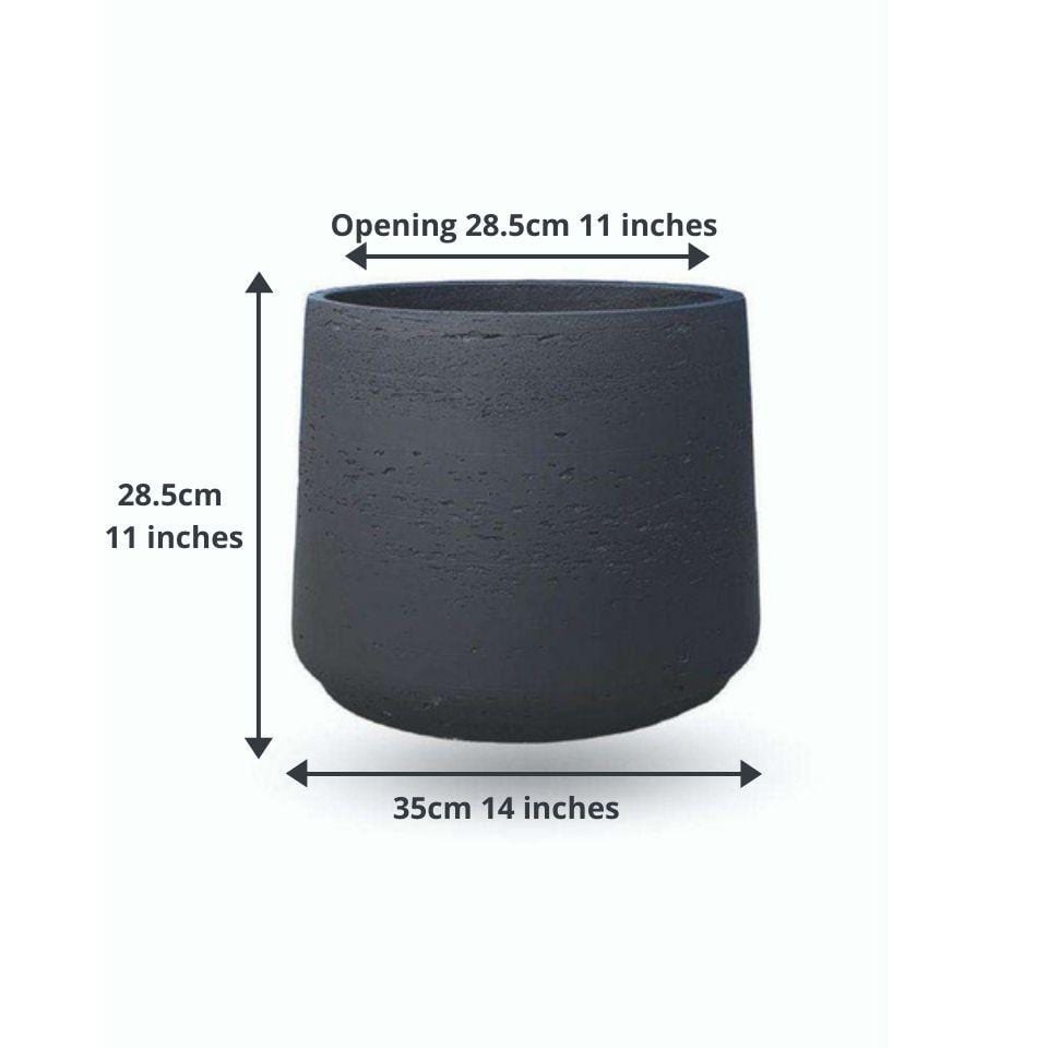 Anto Black Cement Planter 13'' 
